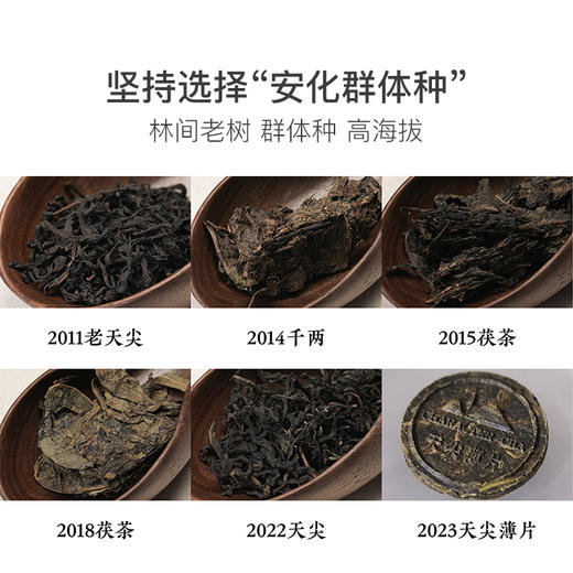 玩家级安化黑茶合集 商品图3