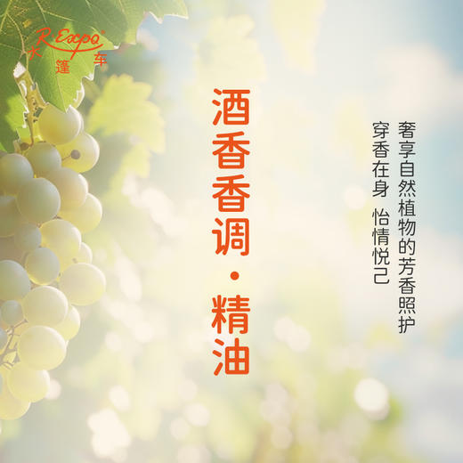 酒香香调·精油 植物精油香氛 适用香水 护肤洗护产品 大篷车精油 商品图2
