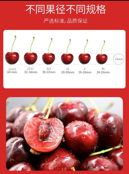 智利进口车厘子原箱礼盒随机发货   脆甜多汁  顺丰包邮到家 商品图3