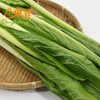 东升农场 有机迟菜心 菜苔 爽脆清甜 有机蔬菜 广东配送 300g 商品缩略图3