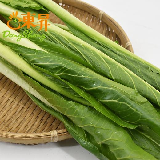 东升农场 有机迟菜心 菜苔 爽脆清甜 有机蔬菜 广东配送 300g 商品图3