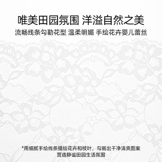 3条98元好奇蜜斯性感超薄蕾丝低腰三角内裤女抗菌纯棉裆纯欲舒适 莫拉 商品图1