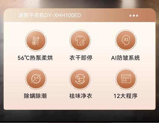 大宇滚筒热泵烘干机家用10kg除菌柔烘不伤衣衣干即停XHH100BED 商品图1