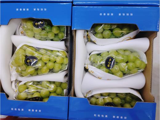 小孔晴王礼盒 商品图2