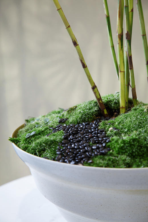 金山棕 商品图2