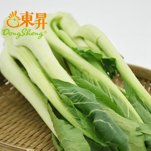 东升农场 有机迟菜心 菜苔 爽脆清甜 有机蔬菜 广东配送 300g 商品图1