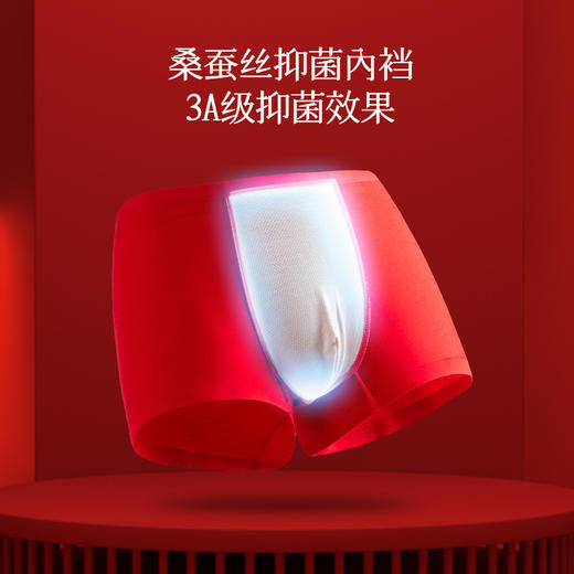 【59元2条】【大牌高品质】60支奥地利莫代尔男士内裤 3A级抑菌蚕丝内档薄款裸感四角平角裤 商品图2