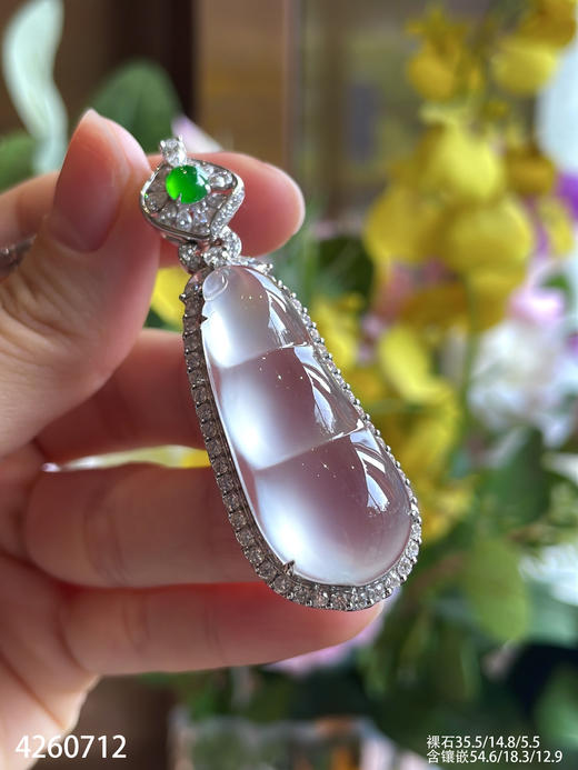 玻璃种福豆吊坠【4260712】具体价格微信咨询 商品图0