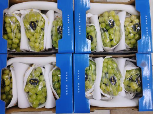 小孔晴王礼盒 商品图1