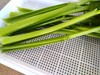 年卡-绿芹300g 商品缩略图2