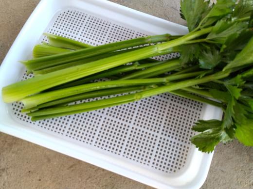 年卡-绿芹300g 商品图1