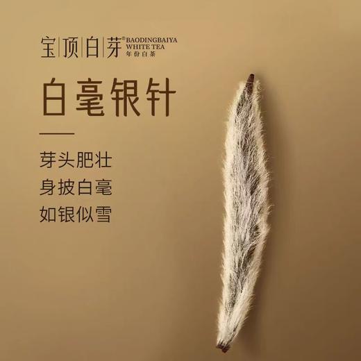 【竹叶青】宝顶白芽白毫银针105克 ZY  商品图2