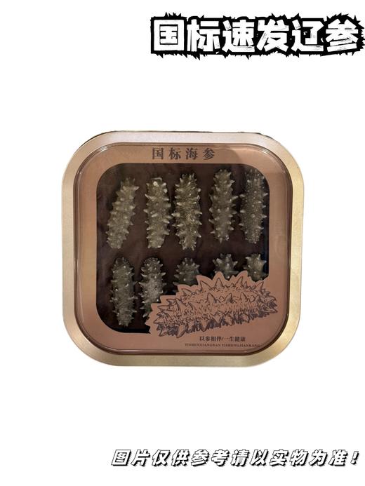 国标速发辽参 商品图0