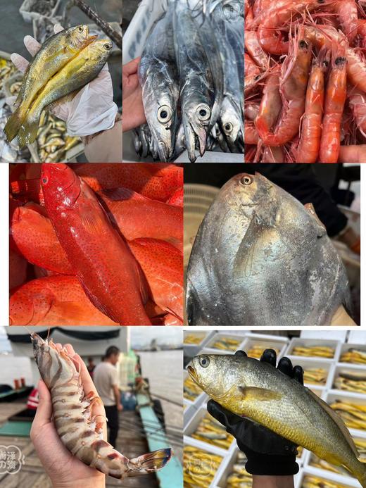 深海野生海鲜大礼包 商品图5