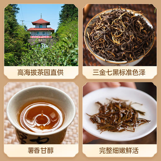 【送礼】茶叶 红茶 金骏眉  浓香型 散罐装 茶饮  五虎  500g 商品图3