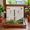 凤鸣恩施来凤藤茶非张家界莓茶含黄酮硒嫩芽尖一级龙须罐装250g大份量 商品缩略图1