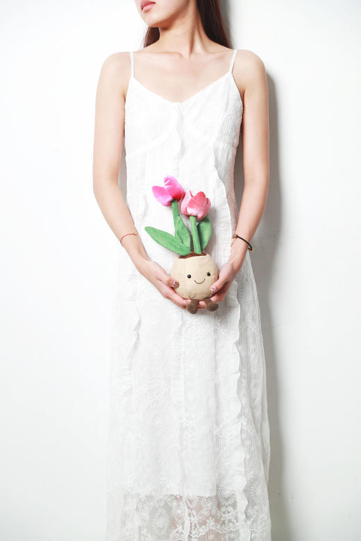 花朵盆栽合集，快来收获你的爱情吧！！美丽安抚毛绒玩具A122888 商品图13