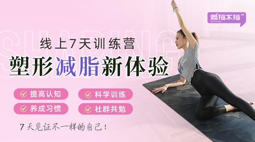 第1天 怎样自测BMI 商品图0