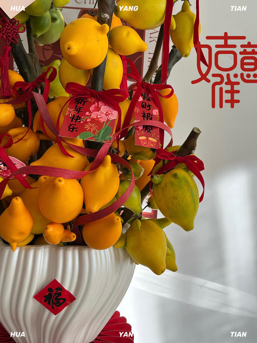 家和财旺  五代黄金果· 陶瓷盆花 商品图4