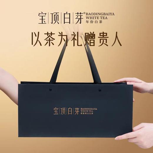 【竹叶青】宝顶白芽白毫银针105克 ZY  商品图3