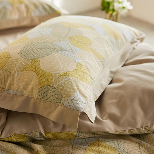 【升级柔暖技术】超柔全棉加厚磨毛四件套 保暖亲肤不起静电套件 商品图9