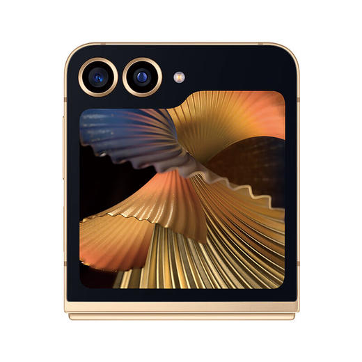 三星 W25 Flip 折叠屏手机SM-W7025(陶瓷黑) 商品图2