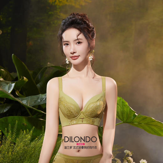 迪兰多功能调整型内衣聚拢舒适大胸显小收副乳上托丰满文胸 2118435/8436 商品图2