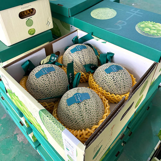 『海南牛3蜜瓜』高甜多汁，鲜嫩清香，送礼佳品 商品图8