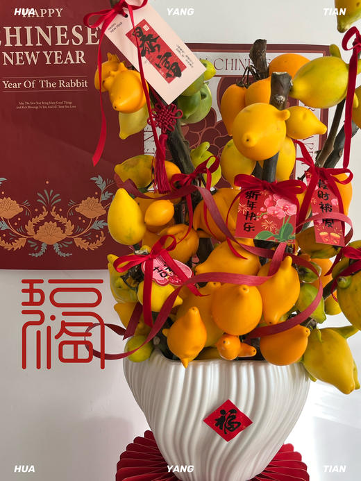 家和财旺  五代黄金果· 陶瓷盆花 商品图7