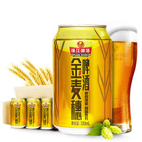 珠江啤酒（PEARL RIVER）10度 珠江金麦穗啤酒 330ml*24听 整箱装 京东自营踏春送礼