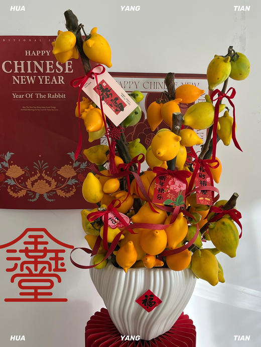 家和财旺  五代黄金果· 陶瓷盆花 商品图2