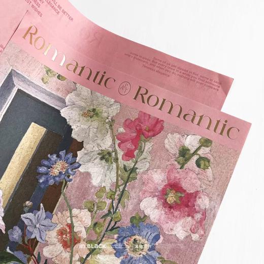 野兽派包装纸 商品图3