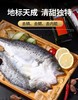 鲜到鲜得三去白蕉海鲈鱼1050g*2 商品缩略图0