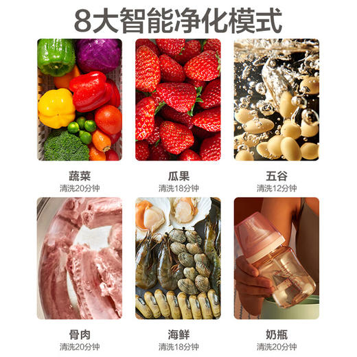 苏泊尔ZMD安心系列 果蔬净化机 三重净化技术 全钢机身 8种净化模式 9L大容量 果蔬清洗机GS005 商品图4