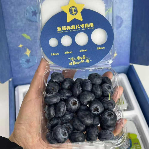 星莓-花香蓝莓嘎嘣脆甜花香浓郁顺丰空运包邮下单从广州发货 商品图7