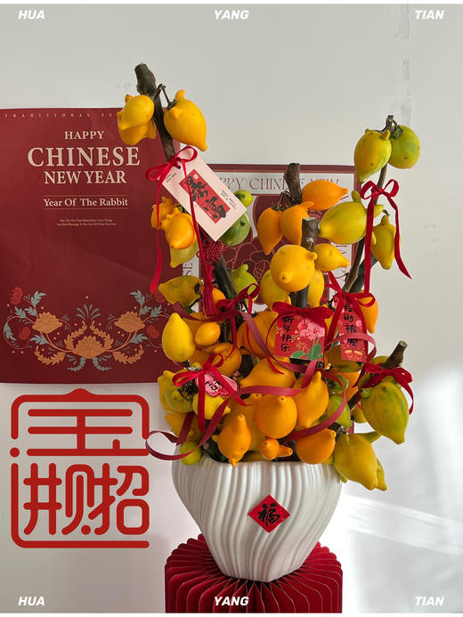 家和财旺  五代黄金果· 陶瓷盆花 商品图3