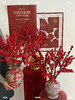 福满新岁· 北美冬青套瓶 商品缩略图2