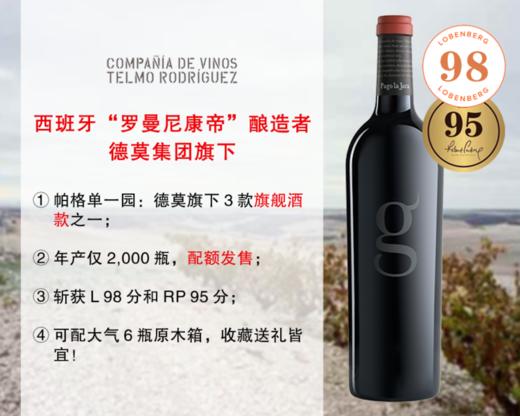 【酒庄直出，微量配额】【L98分+RP95分】正值适饮高峰期｜Telmo出品，必属精品：嘉戈酒庄帕格单一园旗舰干红（2012年） 商品图0