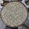 白扁豆  生白扁豆 商品缩略图2