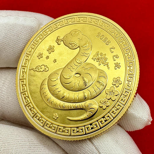 2025年蛇年纪念章 商品图5