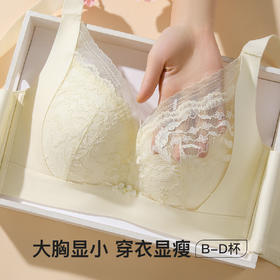 【大胸显小】时尚蕾丝按摩颗粒内杯文胸全包显瘦侧收防垂内衣女花语凝香