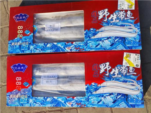 舟山钓带鱼礼盒 商品图1