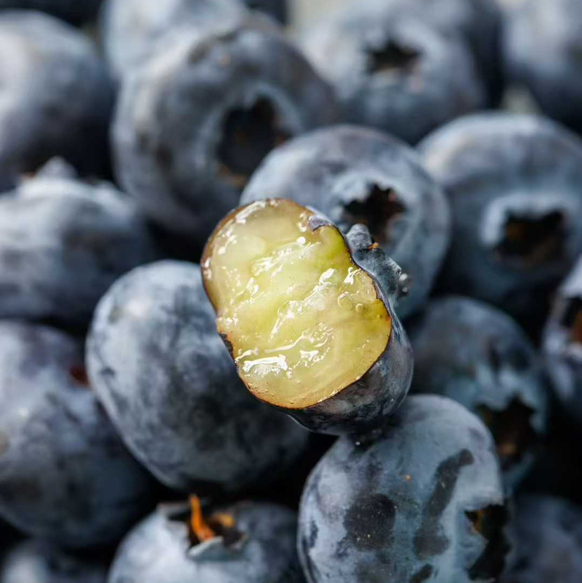 星莓-花香蓝莓嘎嘣脆甜花香浓郁顺丰空运包邮下单从广州发货