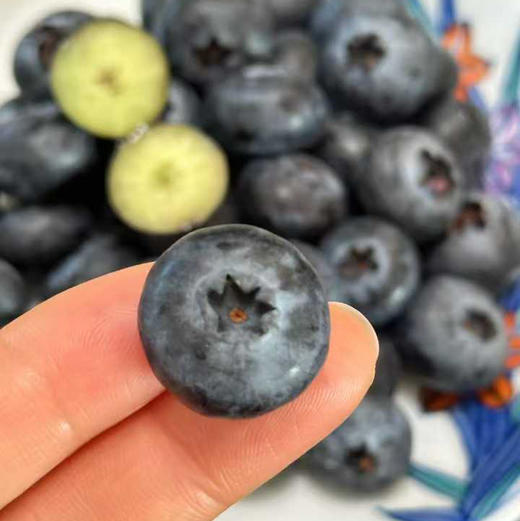 星莓-花香蓝莓嘎嘣脆甜花香浓郁顺丰空运包邮下单从广州发货 商品图4