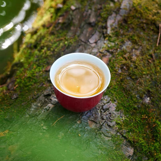 拙鱼 天色系列 单色釉 景德镇陶瓷 家用客厅办公室会客高档茶具 商品图2