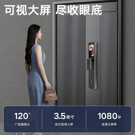 凯施曼户外密码锁防水指纹锁家用防盗门防雨智能锁庭院门双面锁 雅黑色人脸识别版 双开门户外防水 商品图4
