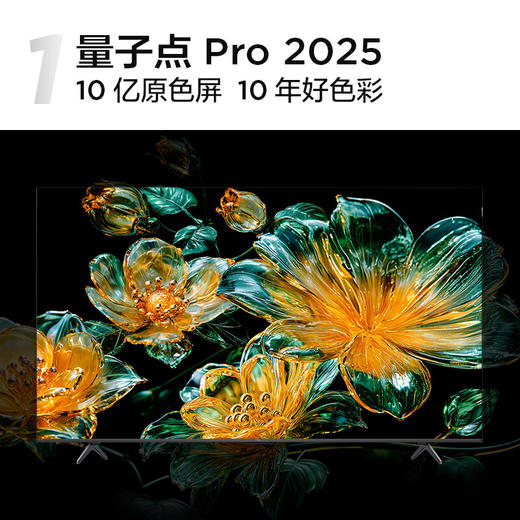 TCL电视 75J8L 75英寸 288Hz 量子点剧院电视 安桥2.1 Hi-Fi音响 超薄一体化 4+64GB 一级能效 商品图1