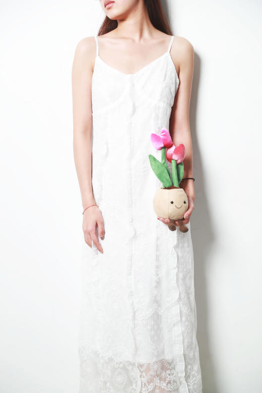 花朵盆栽合集，快来收获你的爱情吧！！美丽安抚毛绒玩具A122888 商品图14