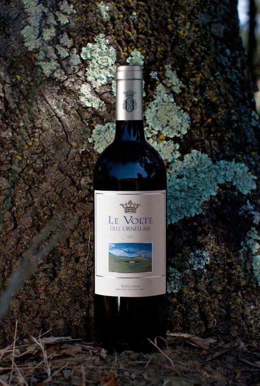 意大利酒王奥纳亚三牌乐福特干红2017 商品图0