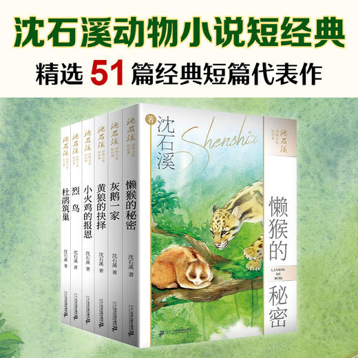 沈石溪动物小说短经典（共6册） 懒猴的秘密/列鸟/灰鹅一家/杜鹃筑巢/黄狼的抉择/小火鸡的报恩 商品图0